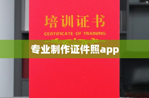 云霄专业制作证件照app
